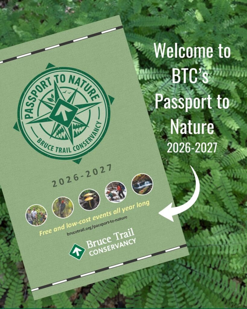 Passport-booklet-photo