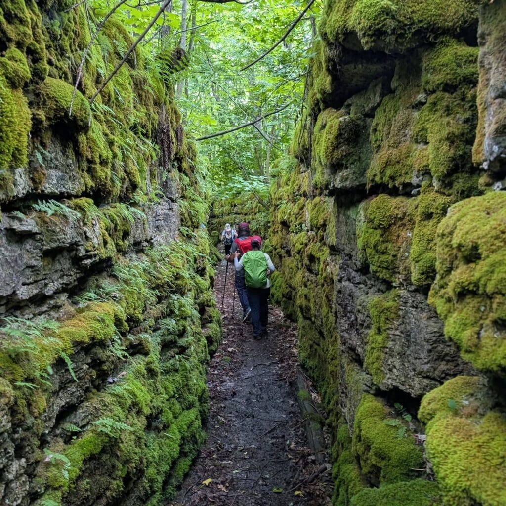 People hiking through mossy crevice